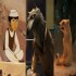 'The Breadwinner', 'Revolting Rhymes' Win at the 45th Annie Awards 'The Breadwinner', 'Revolting Rhymes' Win at the 45th Annie Awards