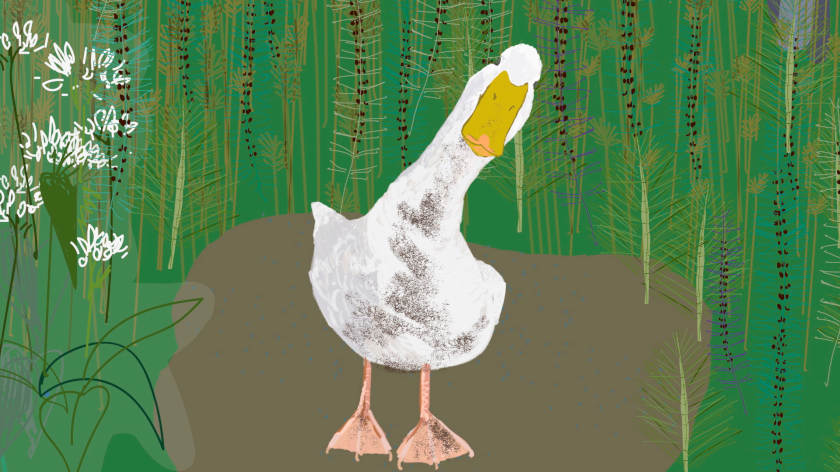 A Quack Too Far by Melissa Culhane