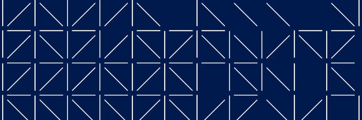 northern-animation-network-2026