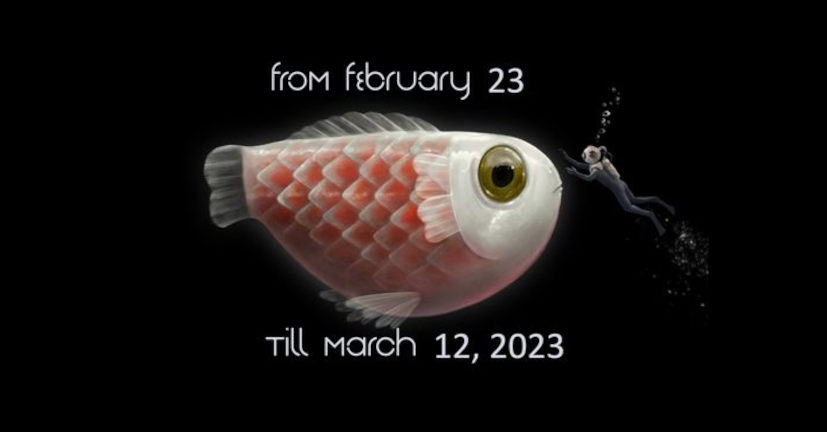 t-short-festival-2023