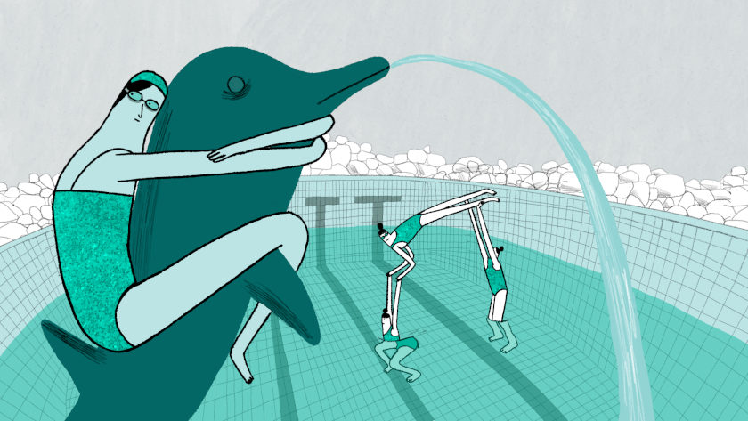 Dolphin Kicks Bulgarian animation film still