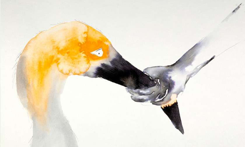 La Perra animation short / Still