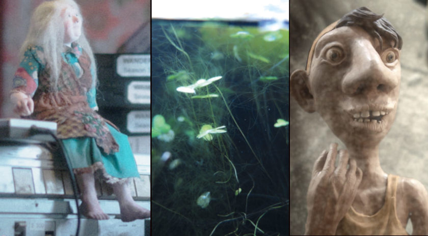 Selected film stills (collage) for StopTrik Festival 2024