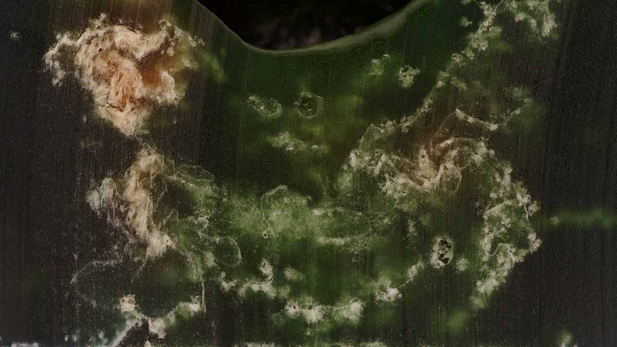 States of Matter by Marvin Hauck animated film still