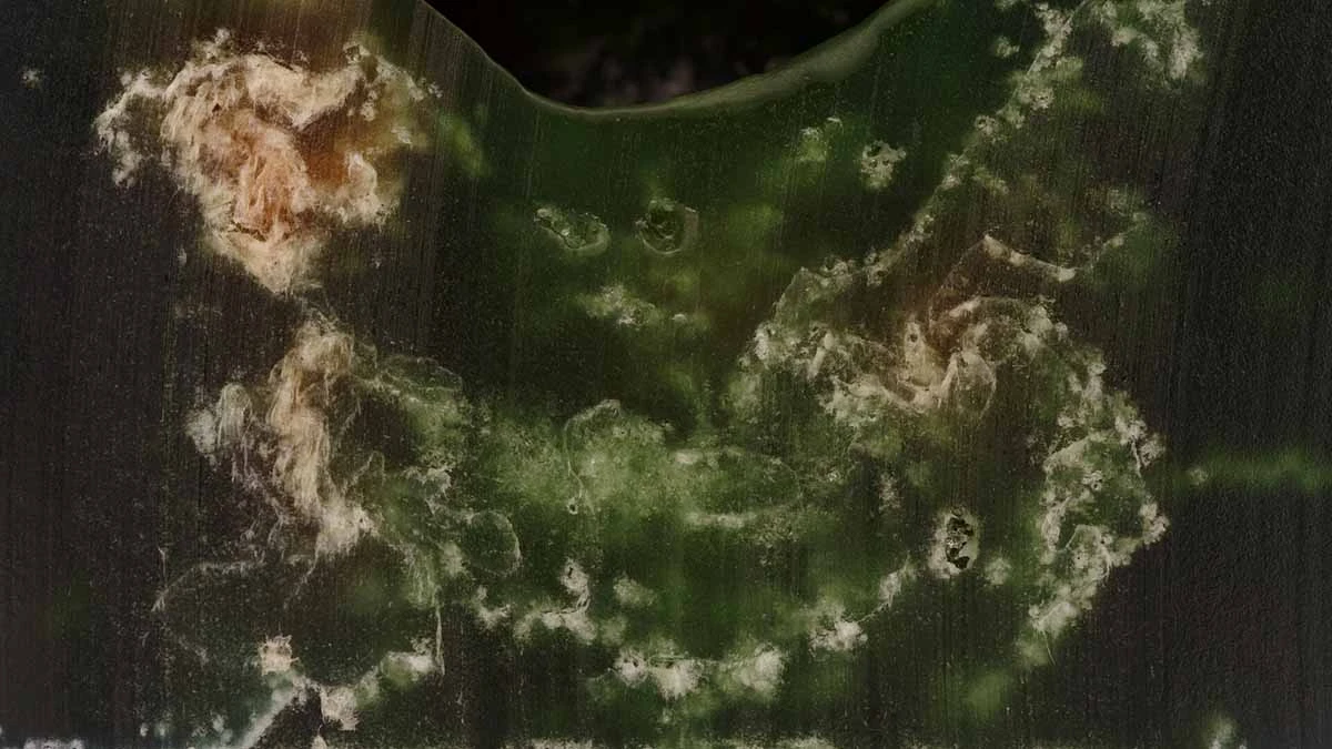 States of Matter by Marvin Hauck animated film still