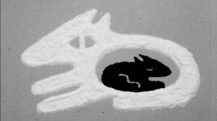 Nina Bączyk in Motion animation film still