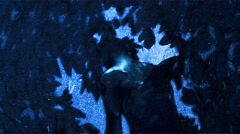 Bad Miguel Lima animation film still