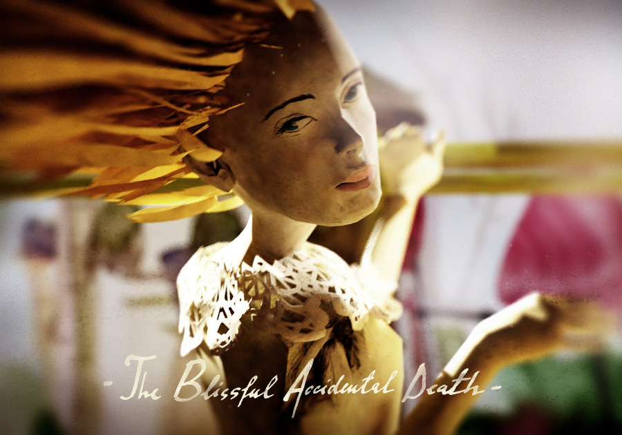 The Blissful Accidental Death by Sergiu Negulici