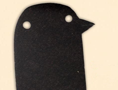 The Making of Longbird by Will Anderson