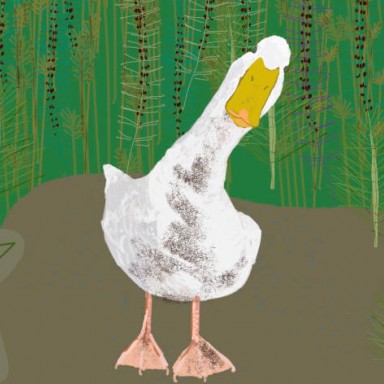 A Quack Too Far by Melissa Culhane
