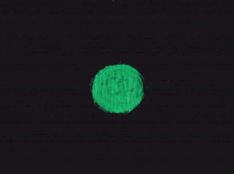 Green Peas by Florentine Grelier & Francis Gavelle animation