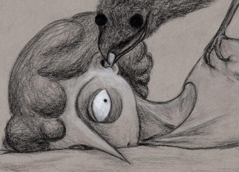 Dawn Chorus animation film still