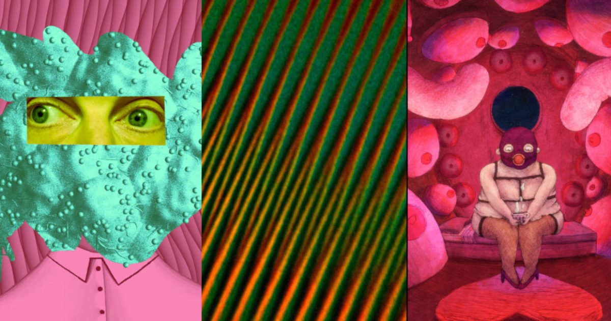 Berlinale Shorts 2026 Animation Film Stills collage