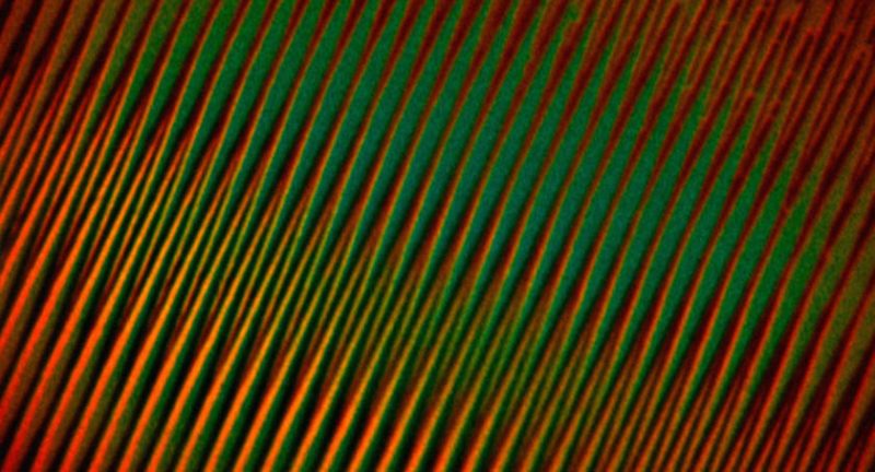 Film Flam 2026 animation film still
