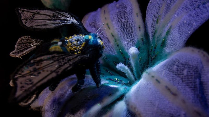 Wind Whisperer animation film still