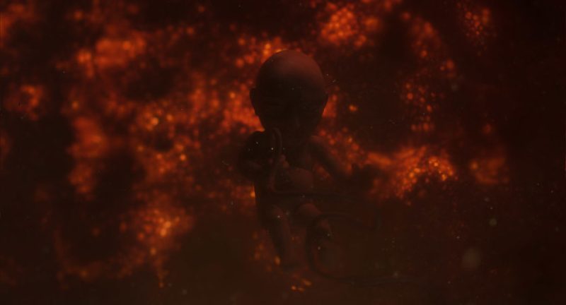 Little Other Andres Tenusaar animation film still
