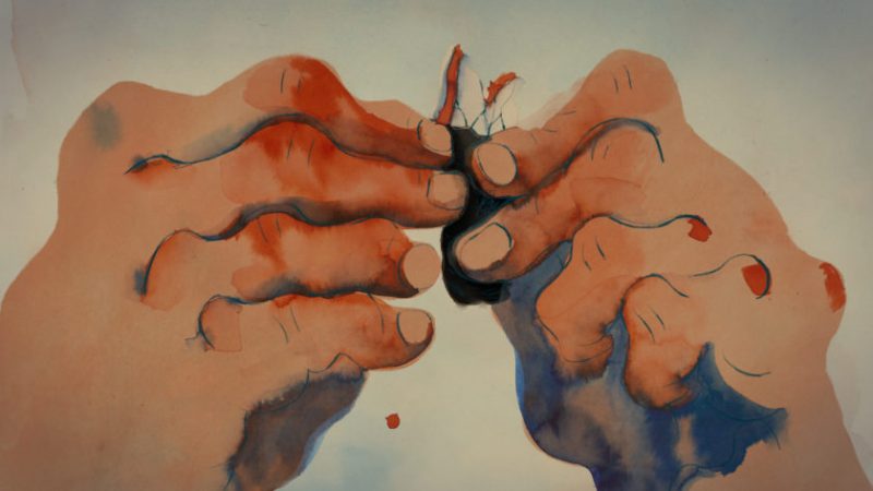 Percebes by Alexandra Ramires and Laura Gonçalves animation film still