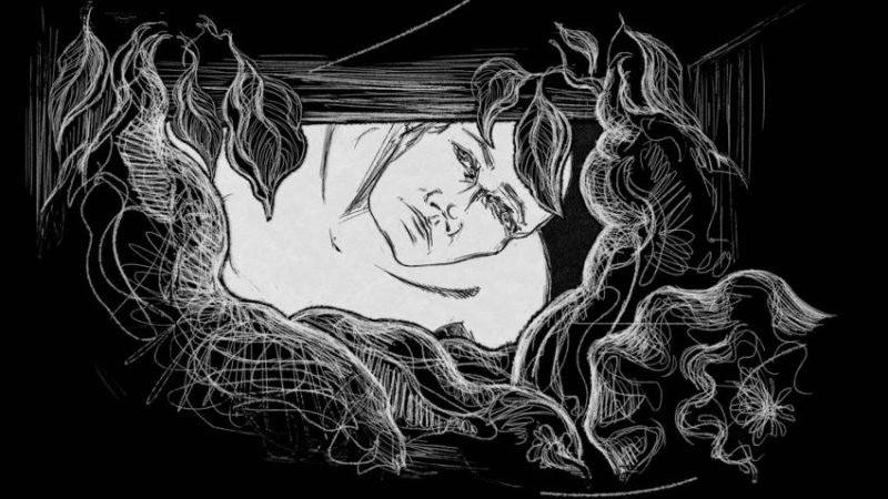 Baraa by Natasza Cetner animation film still
