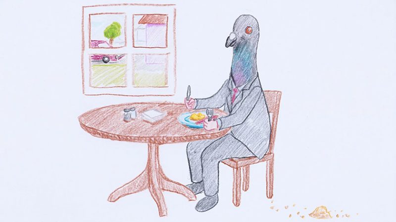 Pigeon Businessman by Will Blank animated short film still