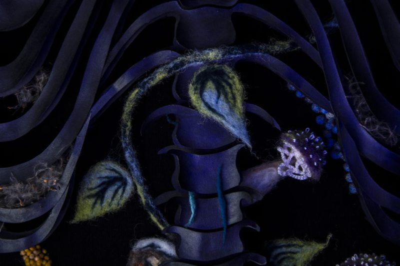 Wind Whisperer Ferri Caicedo animation film still