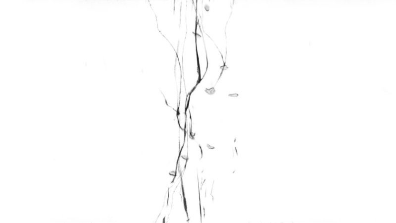 Hope animation film still