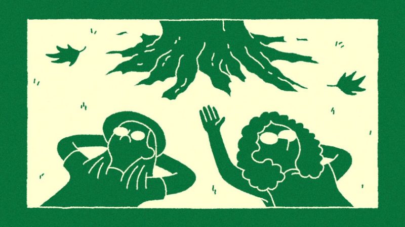 Sycamore Jared D. Weiss animation film still