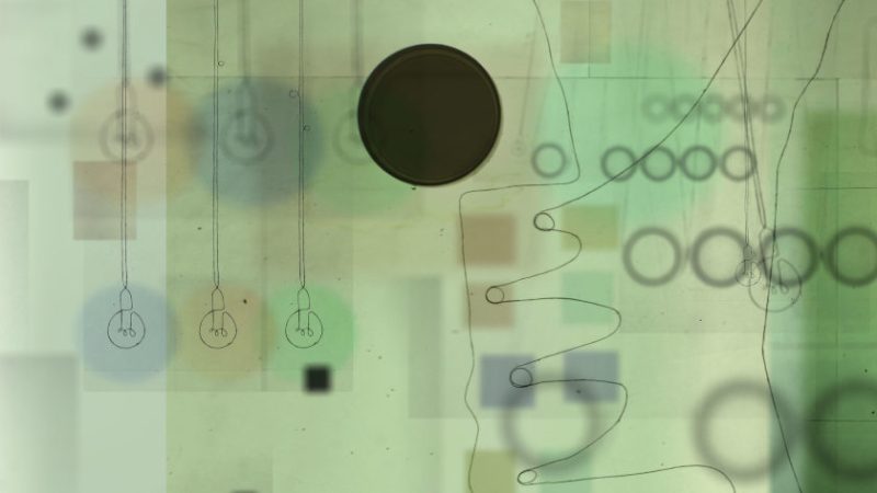 Marbles by Natalia Spychała animation film still