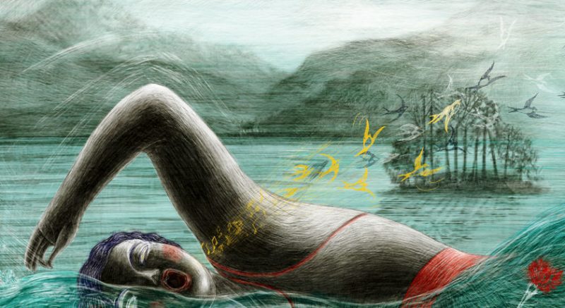 Annecy Festival 2024 Poster