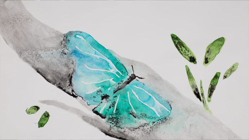 shadow of the butterflies sofia el khyari