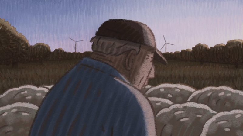 The Melody of Sheep | Marc FAYE