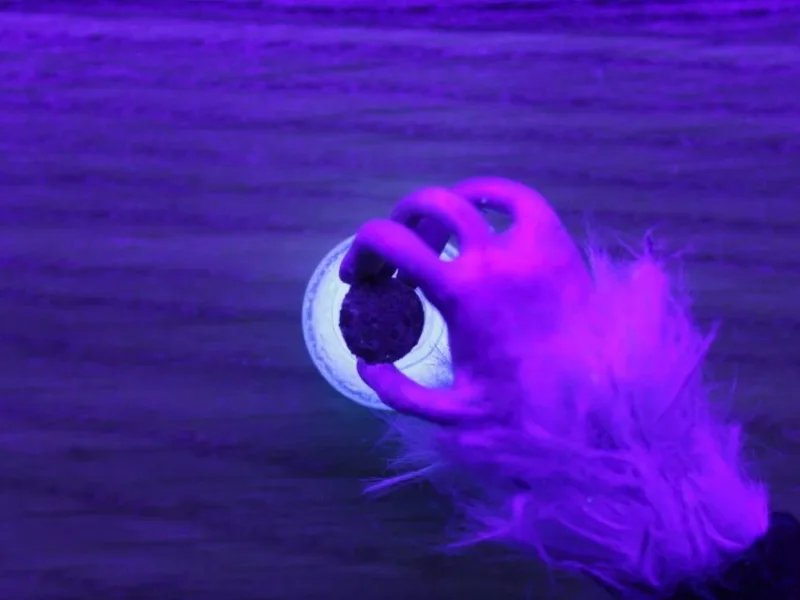 Misplaced Memories by Ivana Radić animation film still