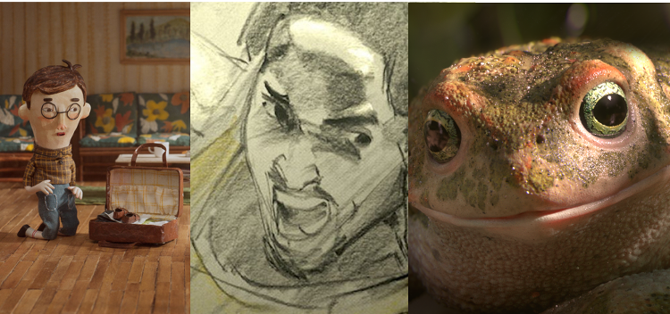 Collage of animation film in the 2017 awards