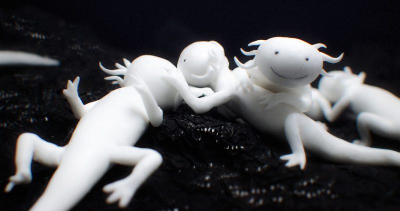 Zoon by Jonatan Schwenk animation film still