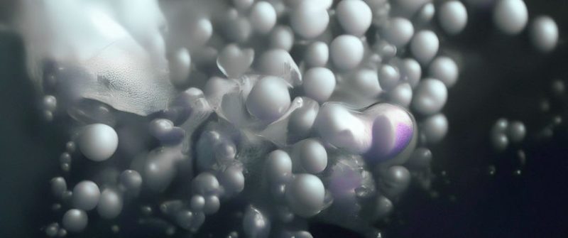 Perplexity Franz Miles animation