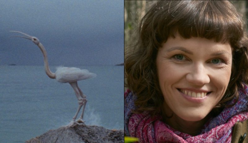 On Weary Wings Go animation film still collage with director Anu-Laura Tuttelberg