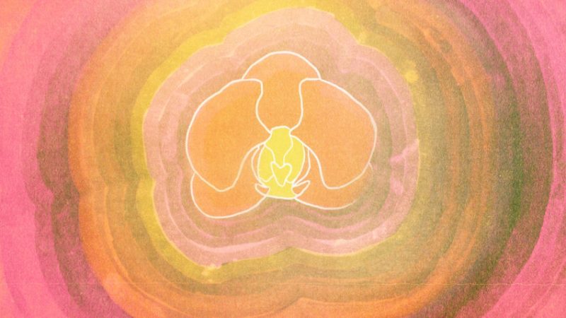 Filled with Wonder Once Again by Emily Scaife animation still