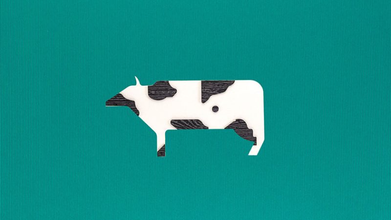 The Looking Game Still of a Cow by Ann Upton