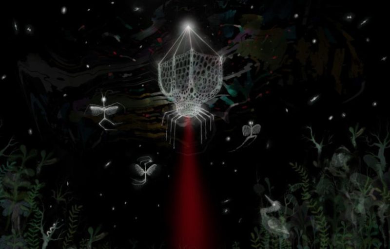 Starseed, dir. Anca Damian