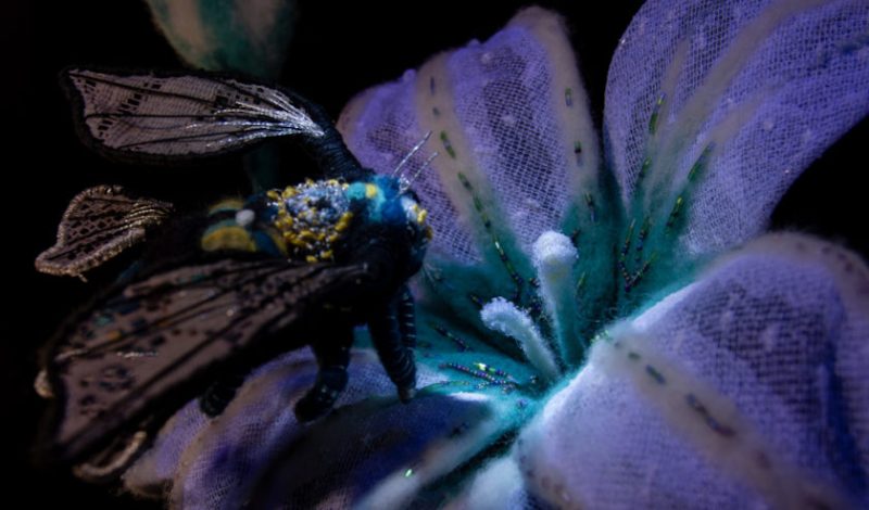 Wind Whisperer animation film still by Ferri Caicedo