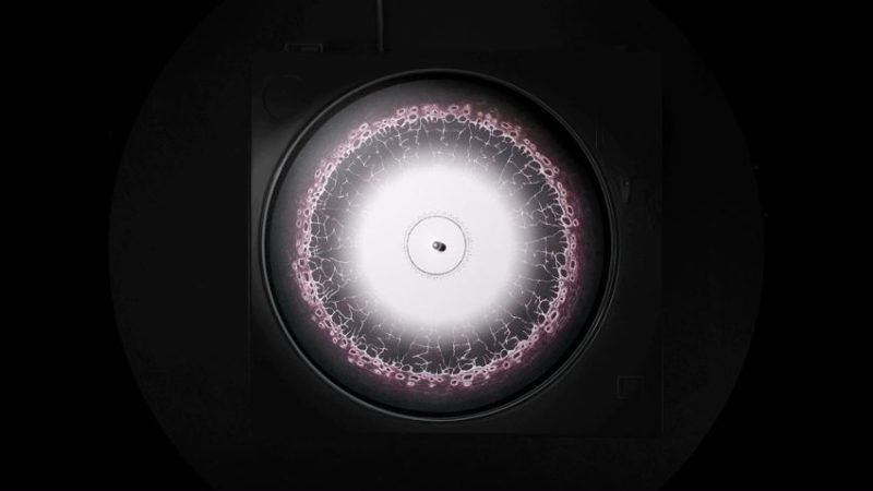 Οrbit by Tess Martin animation film still