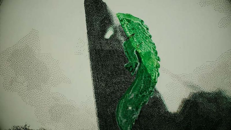 'Arrigo Barnabe "Clara Crocodilo" 1980' by Samuel MARIANI animated video still