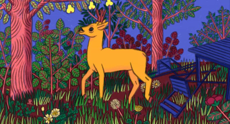 The Roe Deer | Delphine PRIET-MAHÉ
