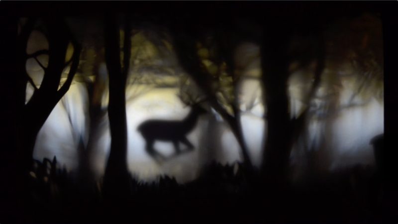 Umbroscopy by Ula Bruno animation film still