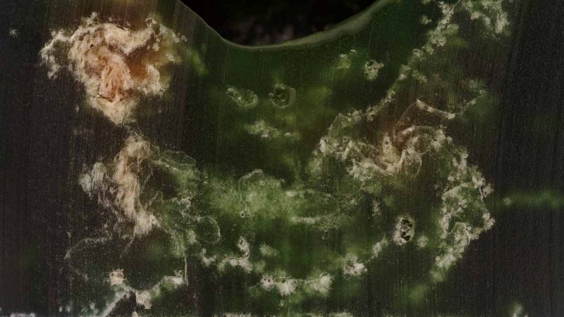 States of Matter by Marvin Hauck animated film still