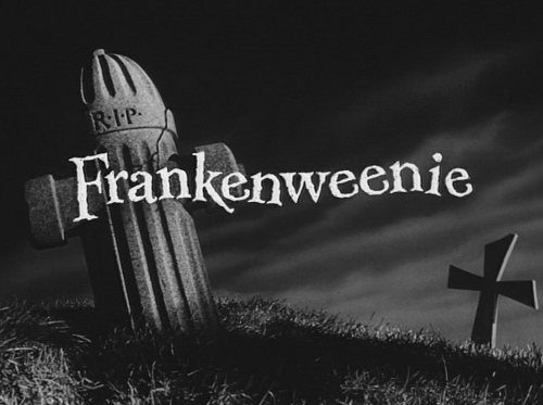 Frankenweenie film still