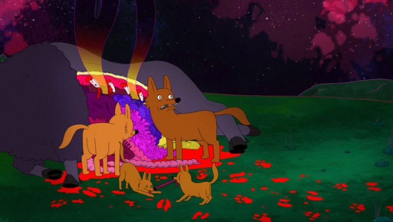 Coyote animation film Lorenz Wunderle