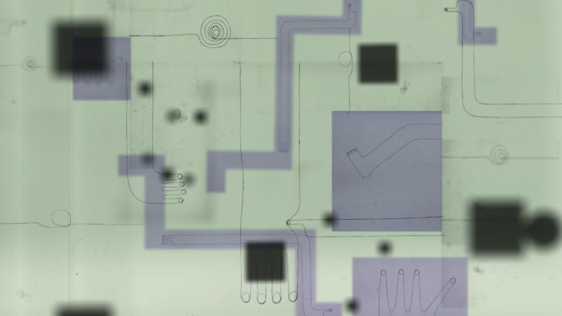 Marbles by Natalia Spychała animation film still