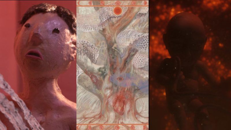 PÖFF Shorts Winners 2024