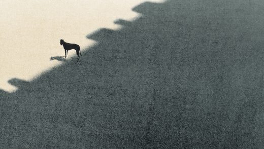 periferia animation film still