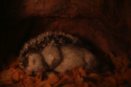 Hedgehog's Home animation film still